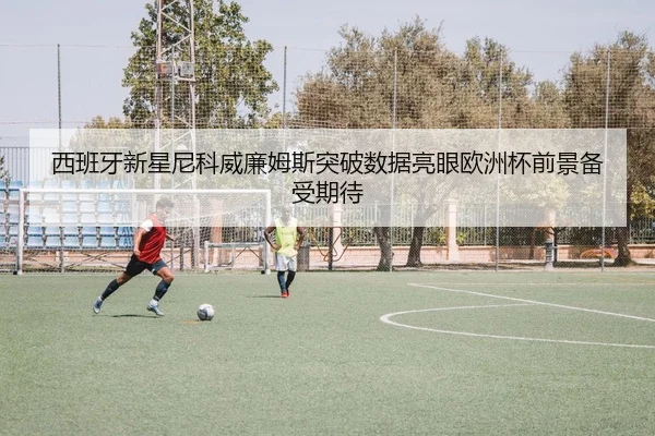 西班牙新星尼科威廉姆斯突破数据亮眼欧洲杯前景备受期待